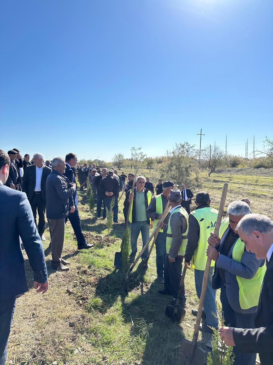 Beyləqanda növbəti ağacəkmə aksiyası keçirilib - FOTOLAR